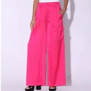 Walter Baker Denver Pleaded Wide Leg Pants in Bright Pink.Size M
